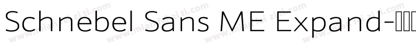 Schnebel Sans ME Expand字体转换
